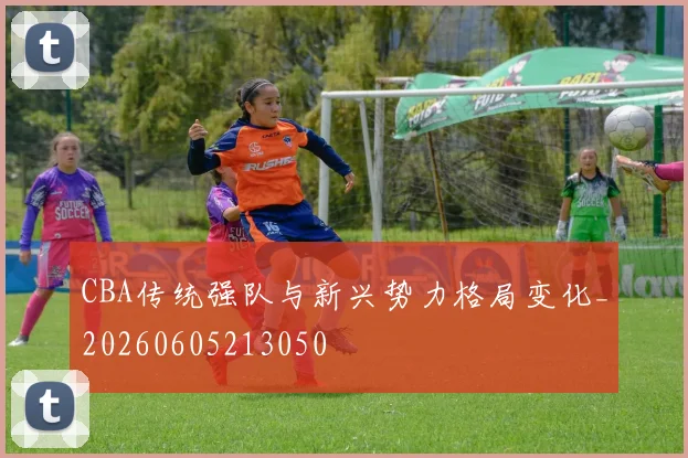 CBA传统强队与新兴势力格局变化_20260605213050