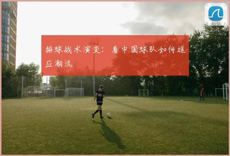 排球战术演变：看中国球队如何适应潮流