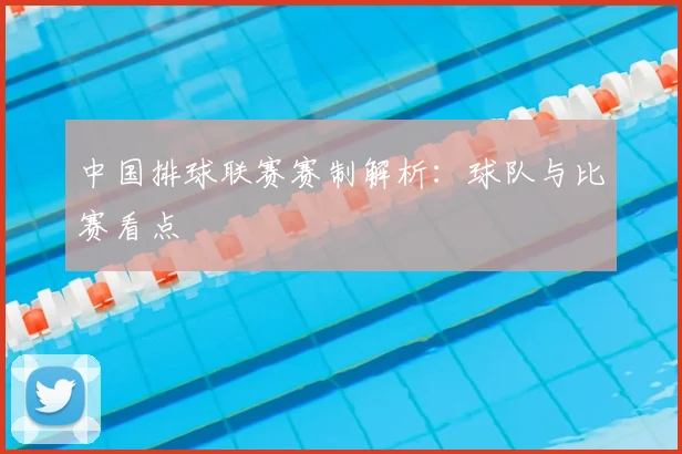 中国排球联赛赛制解析：球队与比赛看点