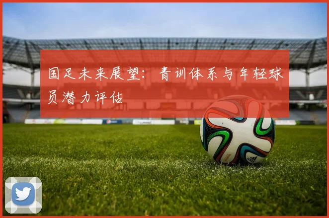 国足未来展望:青训体系与年轻球员潜力评估